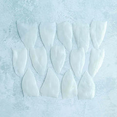 Ika - Sliced Squid Sashimi
