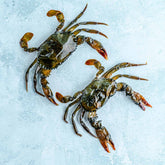 Soft Shell Crabs