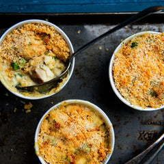 Wild British Coley Misshapes