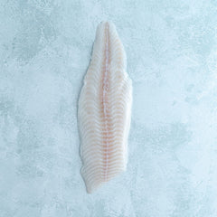 Wild British Dover Sole Fillet