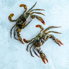 Soft Shell Crabs