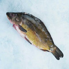 Whole Mirror Carp - Cleaned
