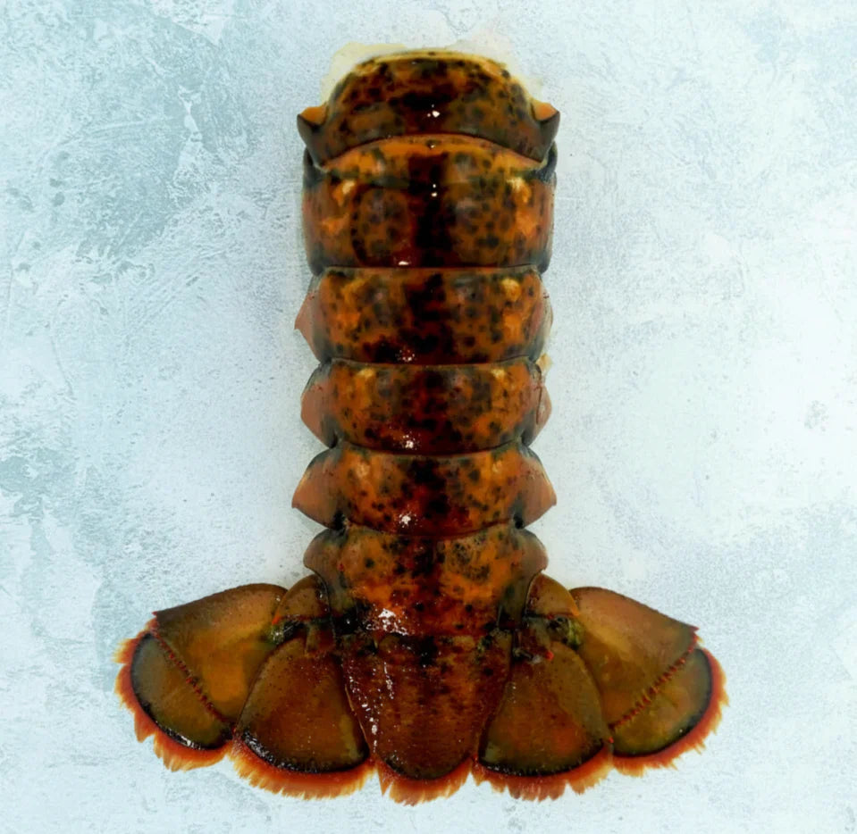 Wild Raw Canadian Lobster Tails