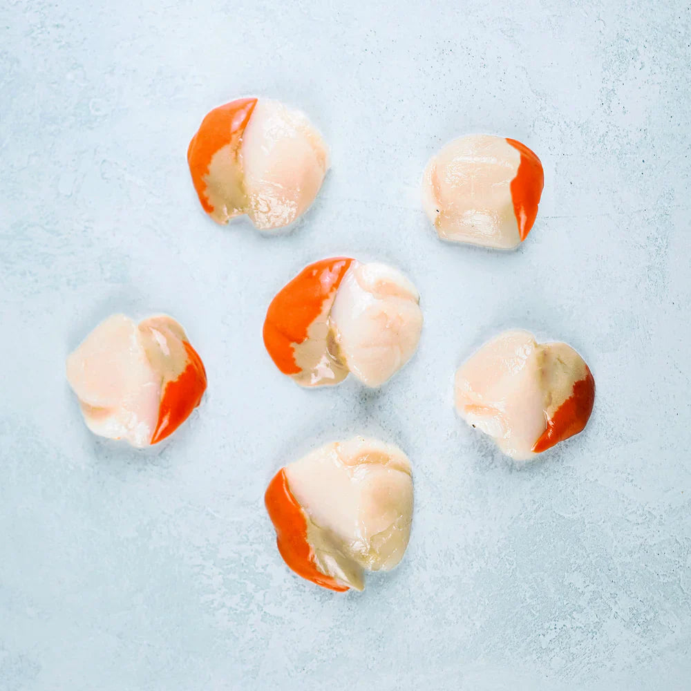 Wild Hand Dived King Scallops
