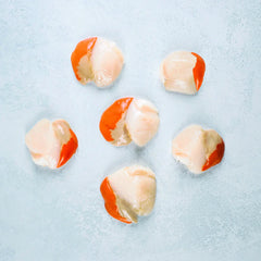 Wild Hand Dived King Scallops