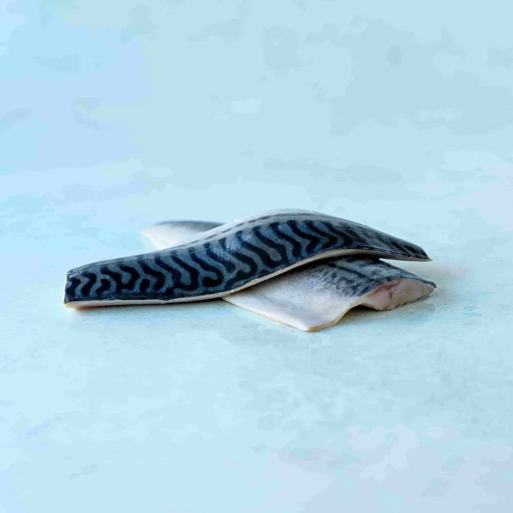 Wild Mackerel Fillets