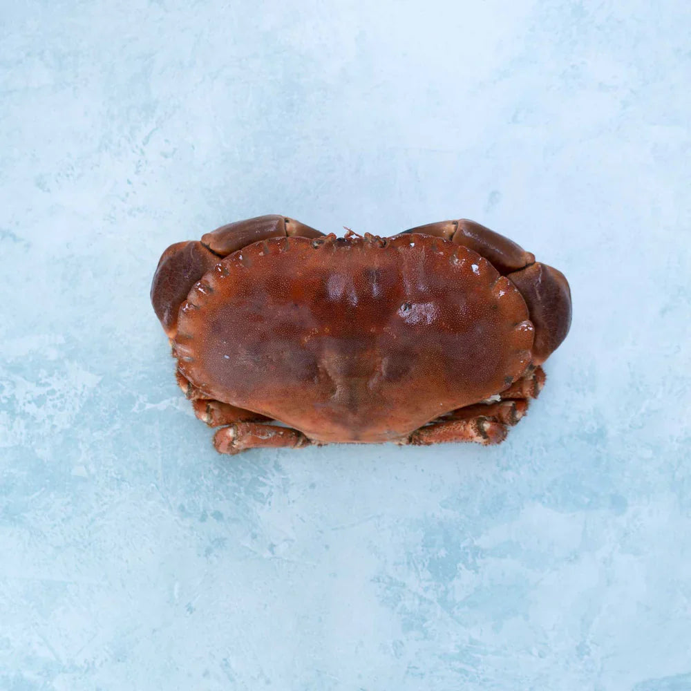 Whole English Crab - Cooked