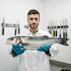 Wild British Sea Bass Fillets