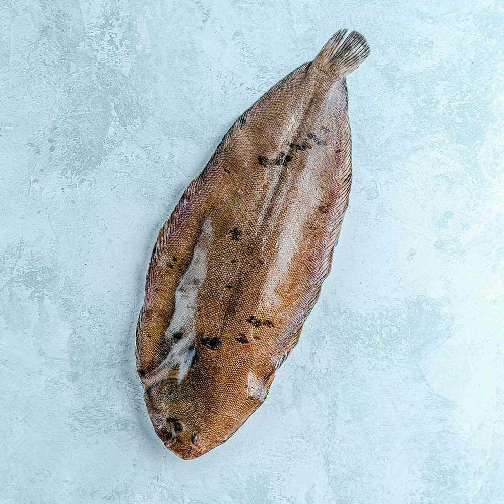 Whole Wild British Dover Sole - Cleaned
