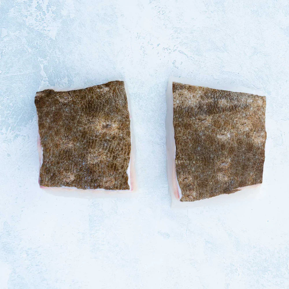 Wild British Turbot Fillet Steaks