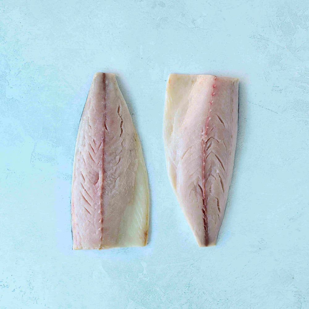 Wild Mackerel Fillets