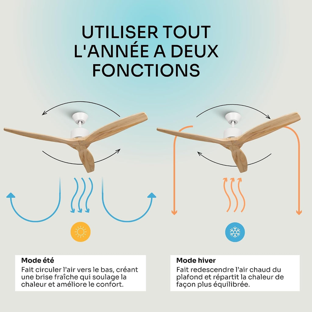 Mellerware Brizy! Ventilateur de Plafond