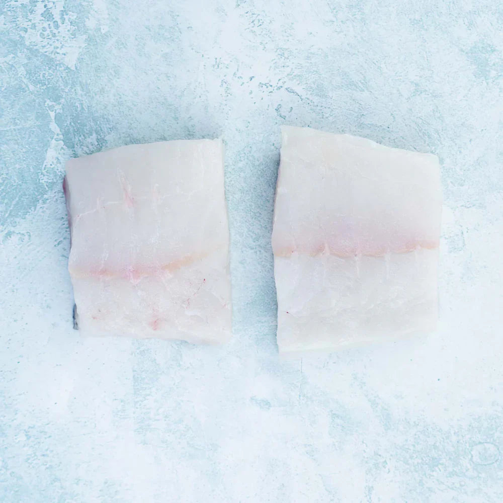 Wild British Turbot Fillet Steaks